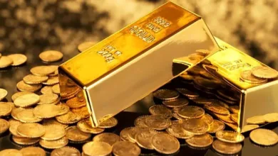 معرفی طلا و سکه پارسیان سرمایه‌گذاری در کدام بهتر است.