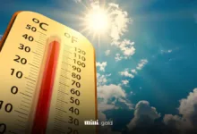 آب و هوای گرم
