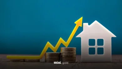 خانه سفید و چند دسته سکه و نمودار زرد رنگ صعودی.