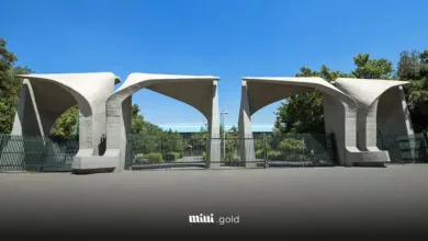 دانشگاه تهران