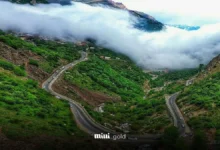 جاده شمال