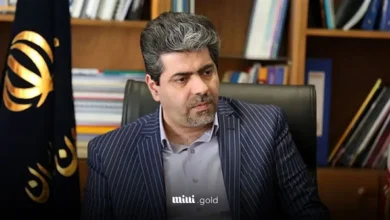 حجت میرزایی