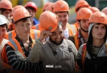 نیروی کار افغان