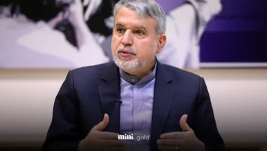 وزیر گردشگری