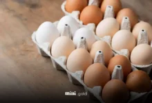 تخم مرغ