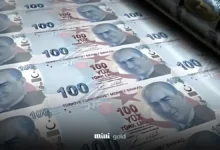 قیمت لیر (1)