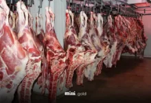 قیمت گوشت قرمز (2)