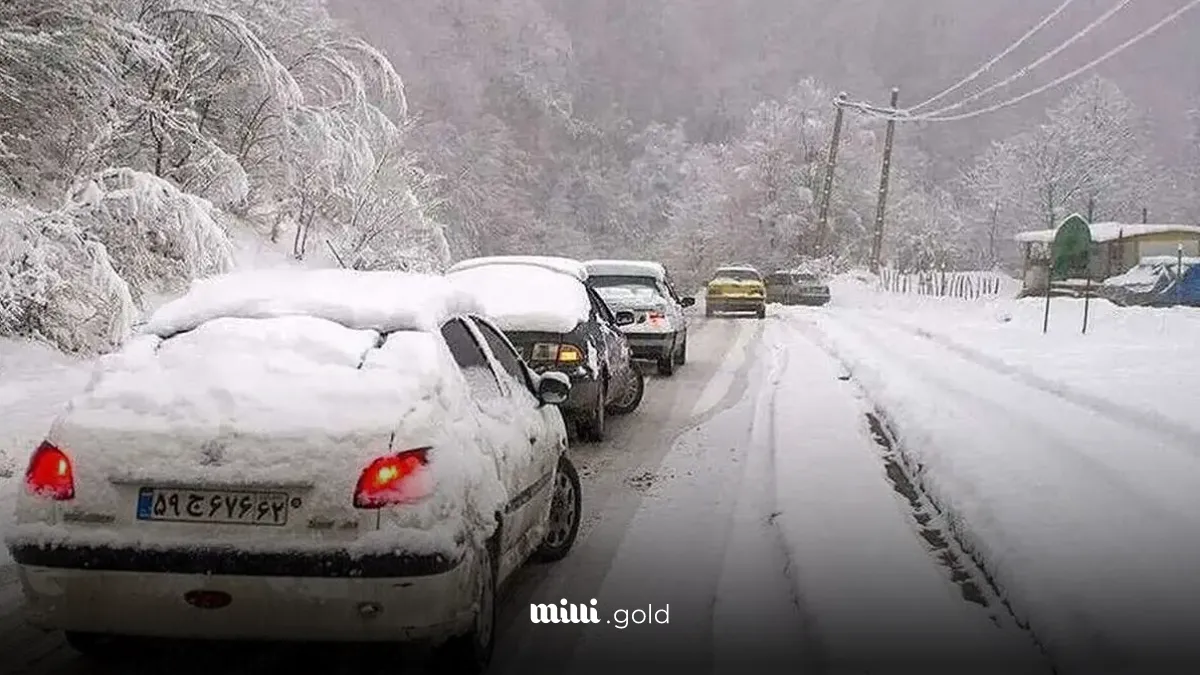 بارش برف و کولاک