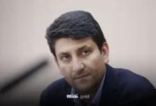 ستار هاشمی
