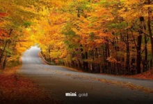 تقویم آبان ۱۴۰۴