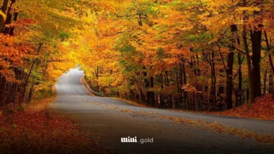 تقویم آبان ۱۴۰۴