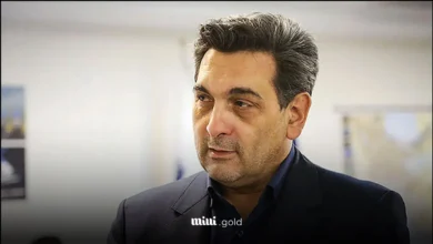 پیروز حناچی