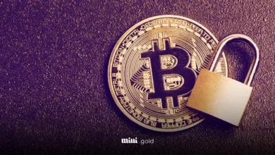 بیت کوین مسدود شده