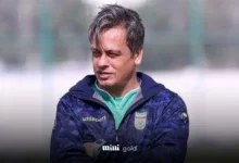 رضا شاهرودی