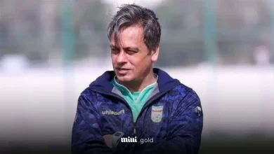 رضا شاهرودی