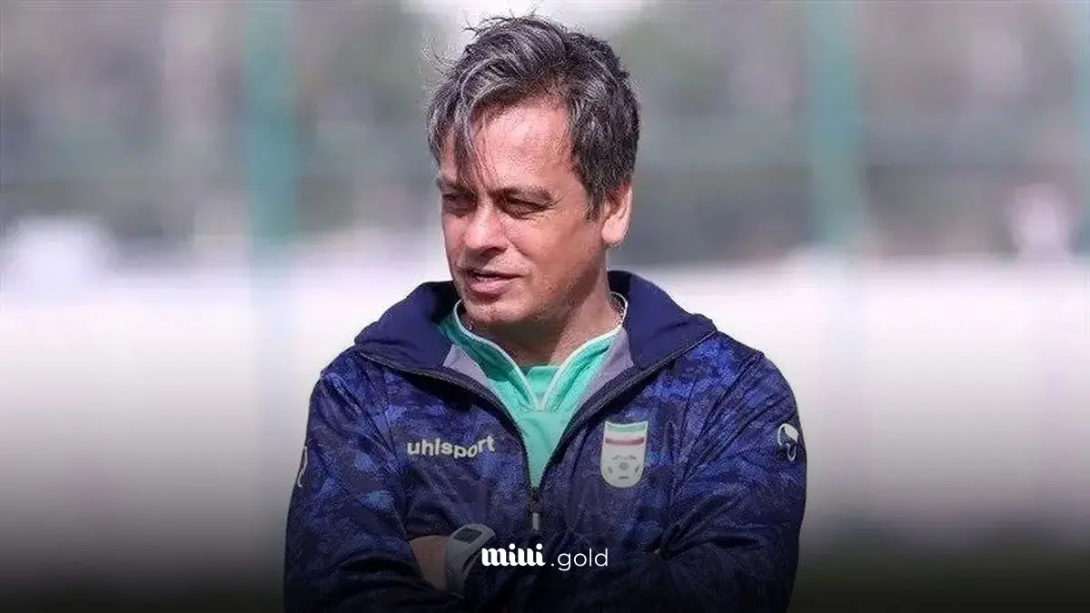 رضا شاهرودی