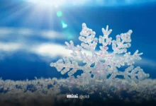 زمستان دی ماه