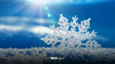 زمستان دی ماه