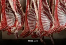 قیمت گوشت (1)