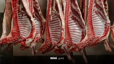 قیمت گوشت (1)