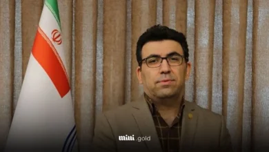 محمود گودرزی