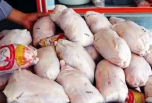 قیمت گوشت مرغ