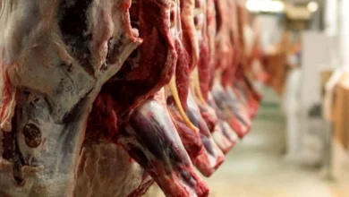 قیمت گوشت