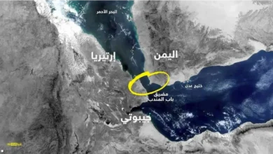 تنگه باب المندب