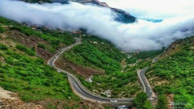 جاده چالوس