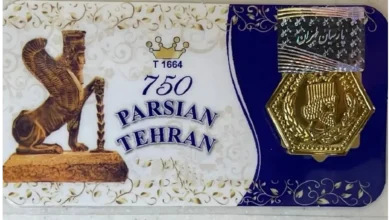 سکه پارسیان (1)