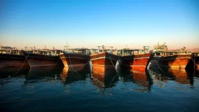 سیریک کجاست