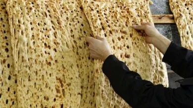 قیمت نان