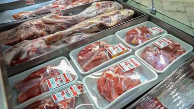 قیمت گوشت قرمز