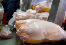 قیمت گوشت مرغ
