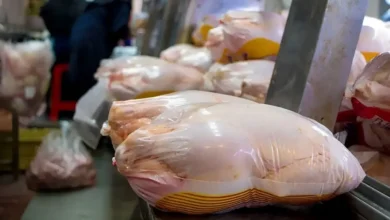 قیمت گوشت مرغ