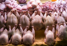 قیمت گوشت مرغ
