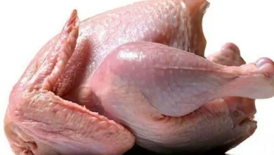 قیمت گوشت مرغ