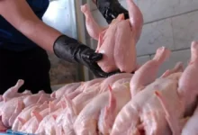 گوشت مرغ