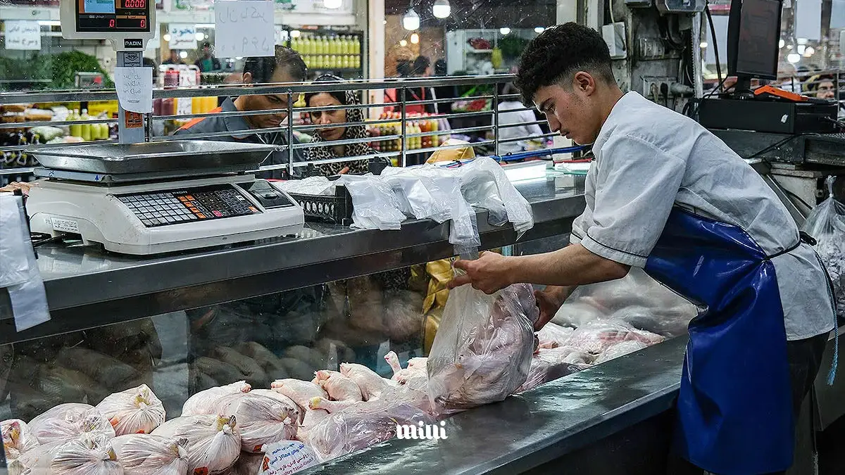قیمت مرغ