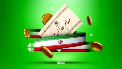 سهام عدالت