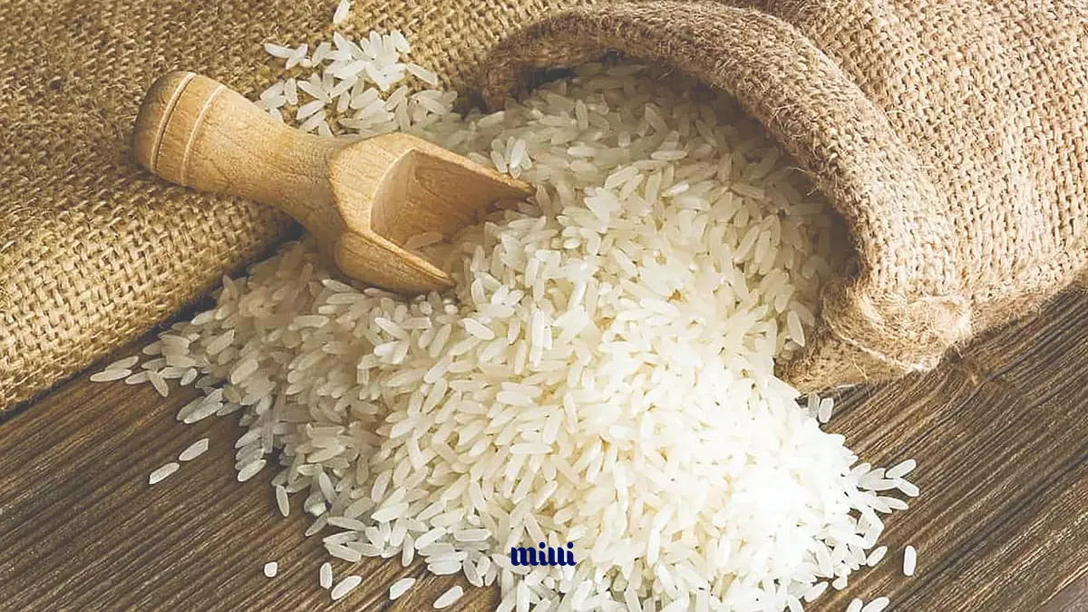 قیمت برنج