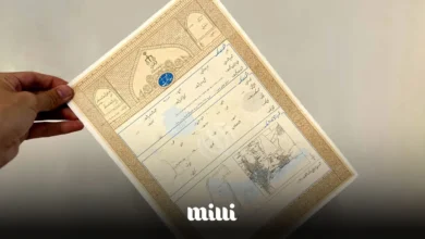 سند تک برگ