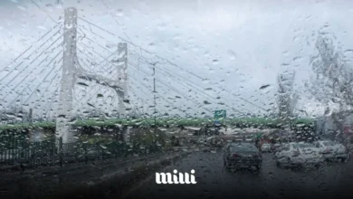 بارندگی