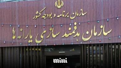 سازمان هدفمند سازی یارانه ها